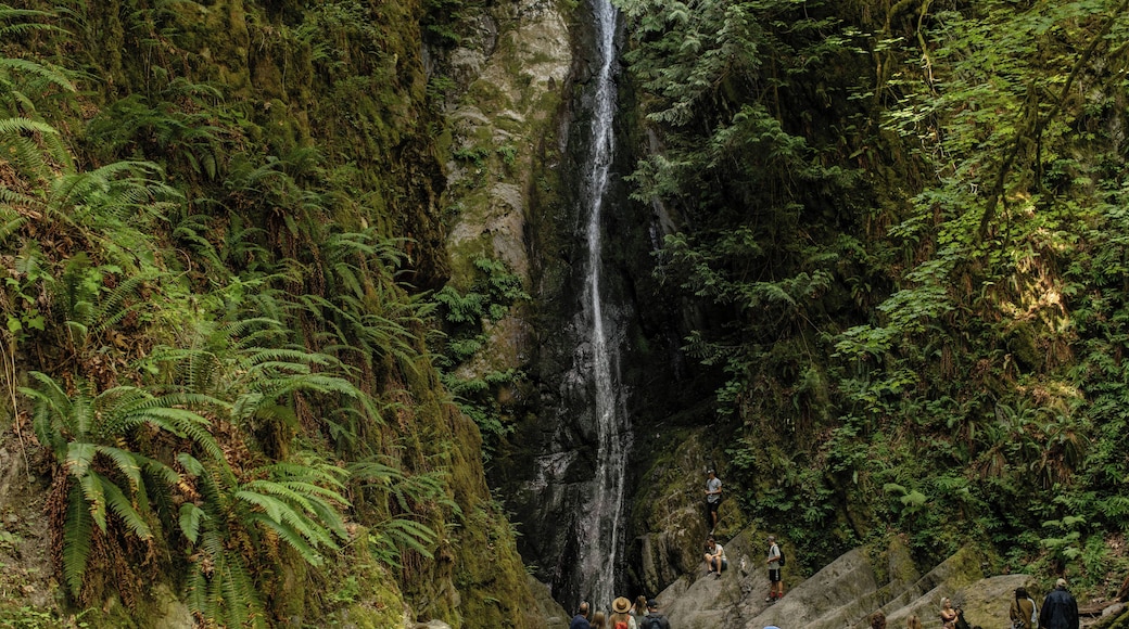 Victoria_GoldstreamProvincialPark_6154293-6