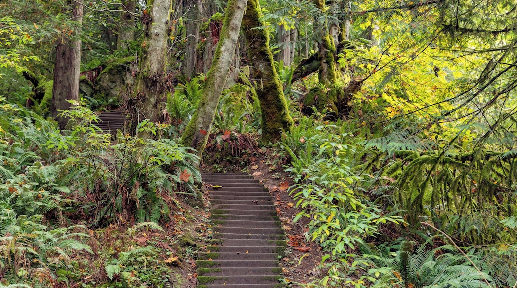 Victoria_GoldstreamProvincialPark_6154293
