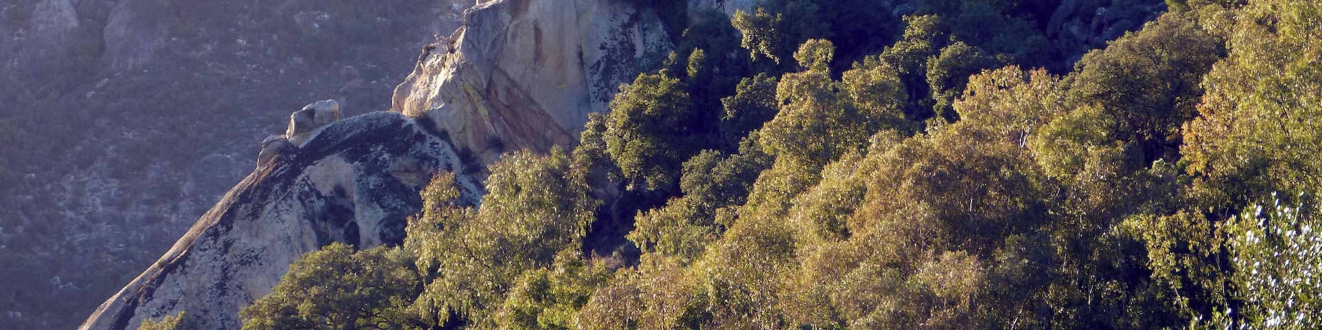 Looking into Alconocales National Park