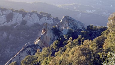 Looking into Alconocales National Park