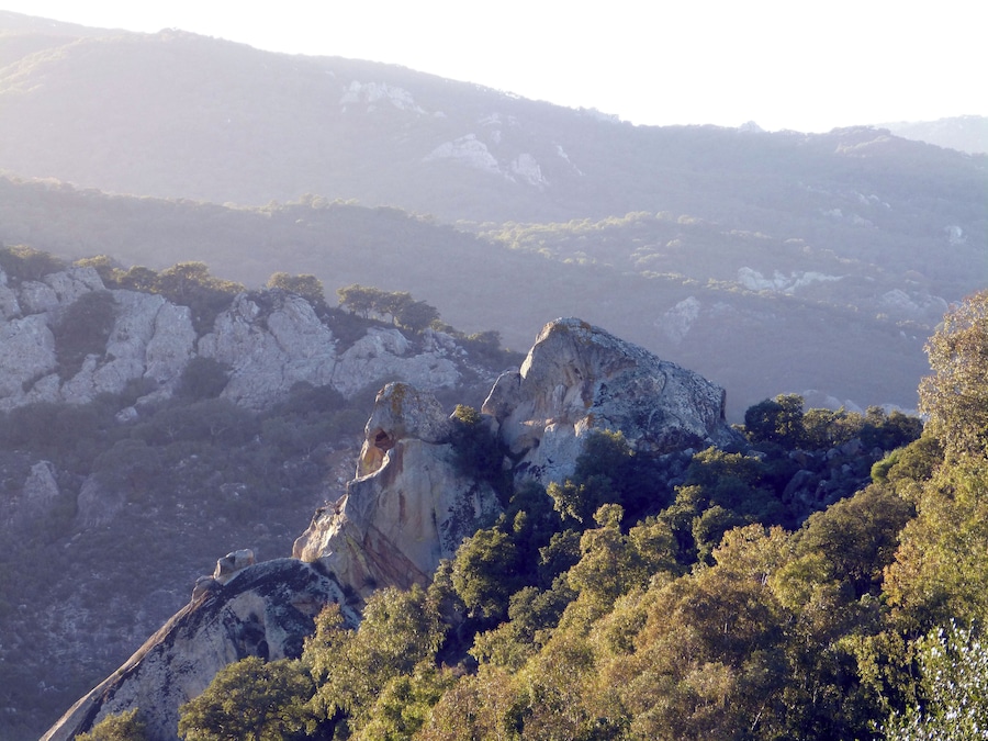 A mountainous landscape with rocky outcrops and dense forest.