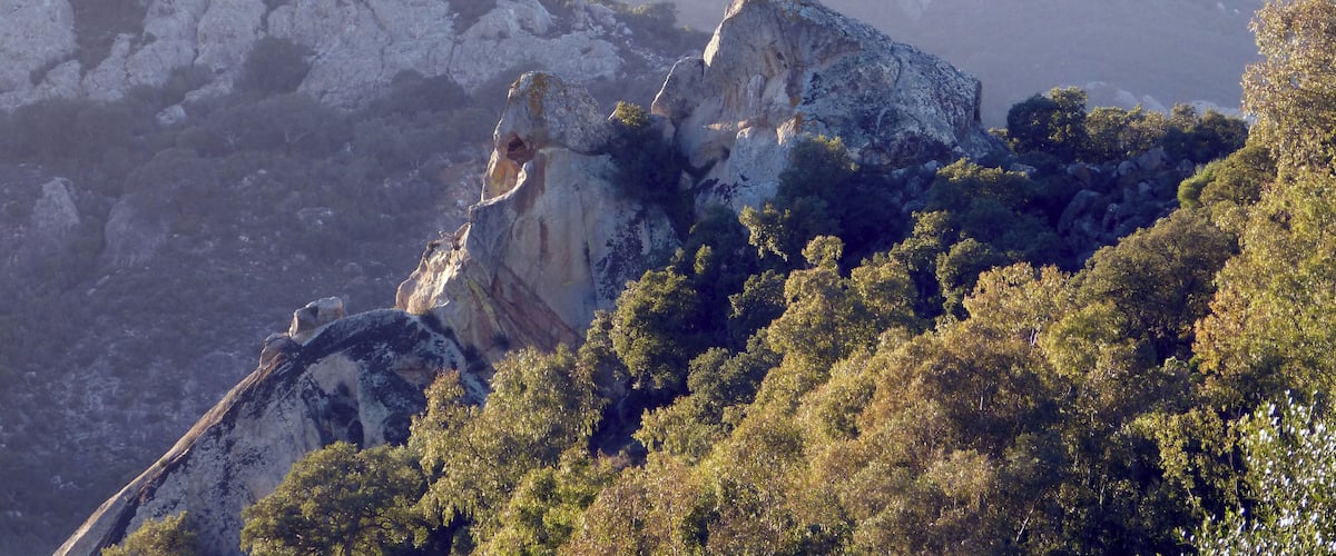 A mountainous landscape with rocky outcrops and dense forest.