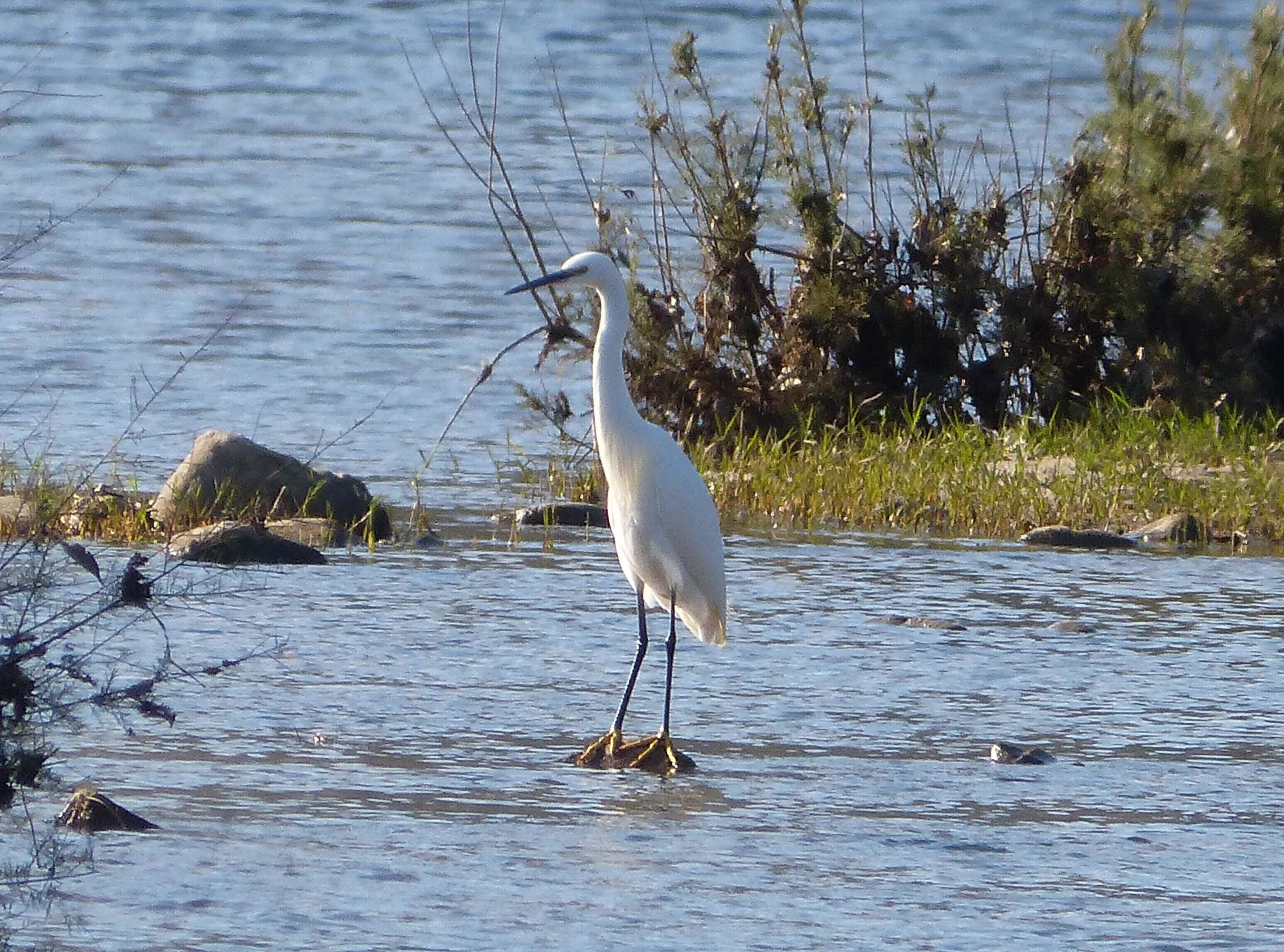 Jimena, Andalucia, Spain
