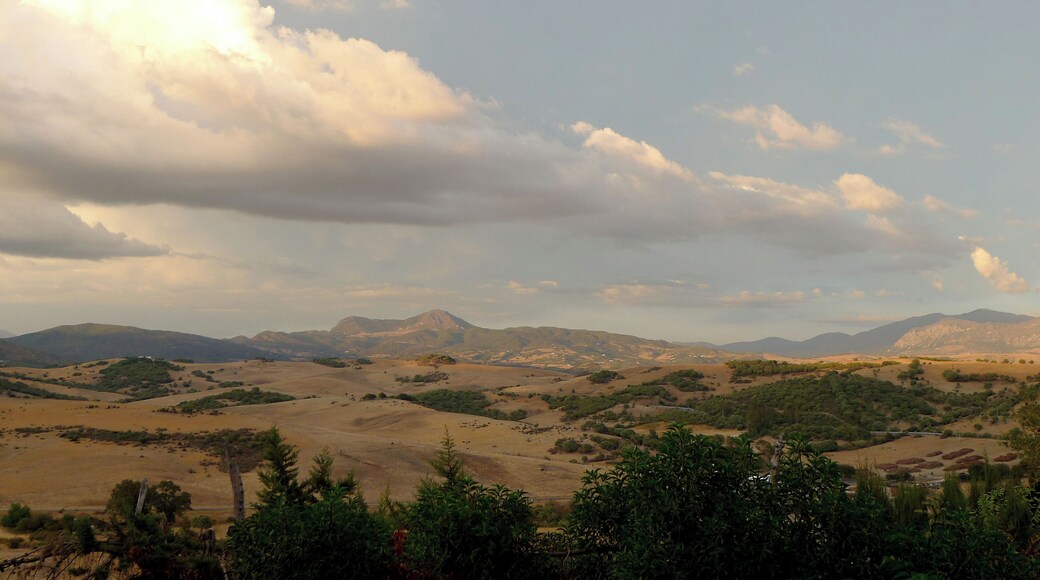 This is soul food in ever changing moods. ( the weather, not me)