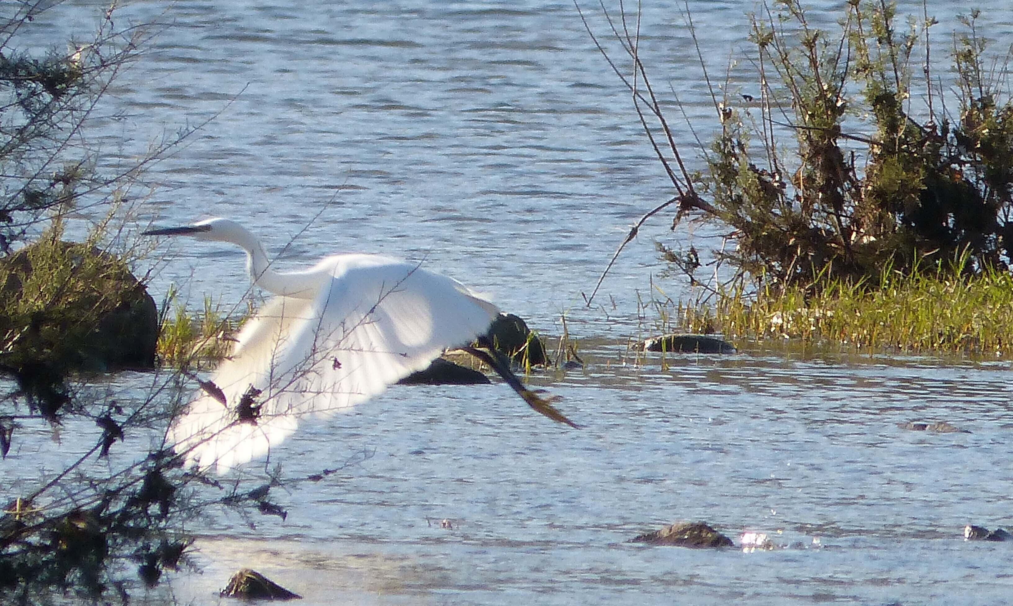 Jimena, Andalucia, Spain