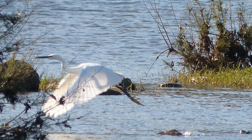Jimena, Andalucia, Spain