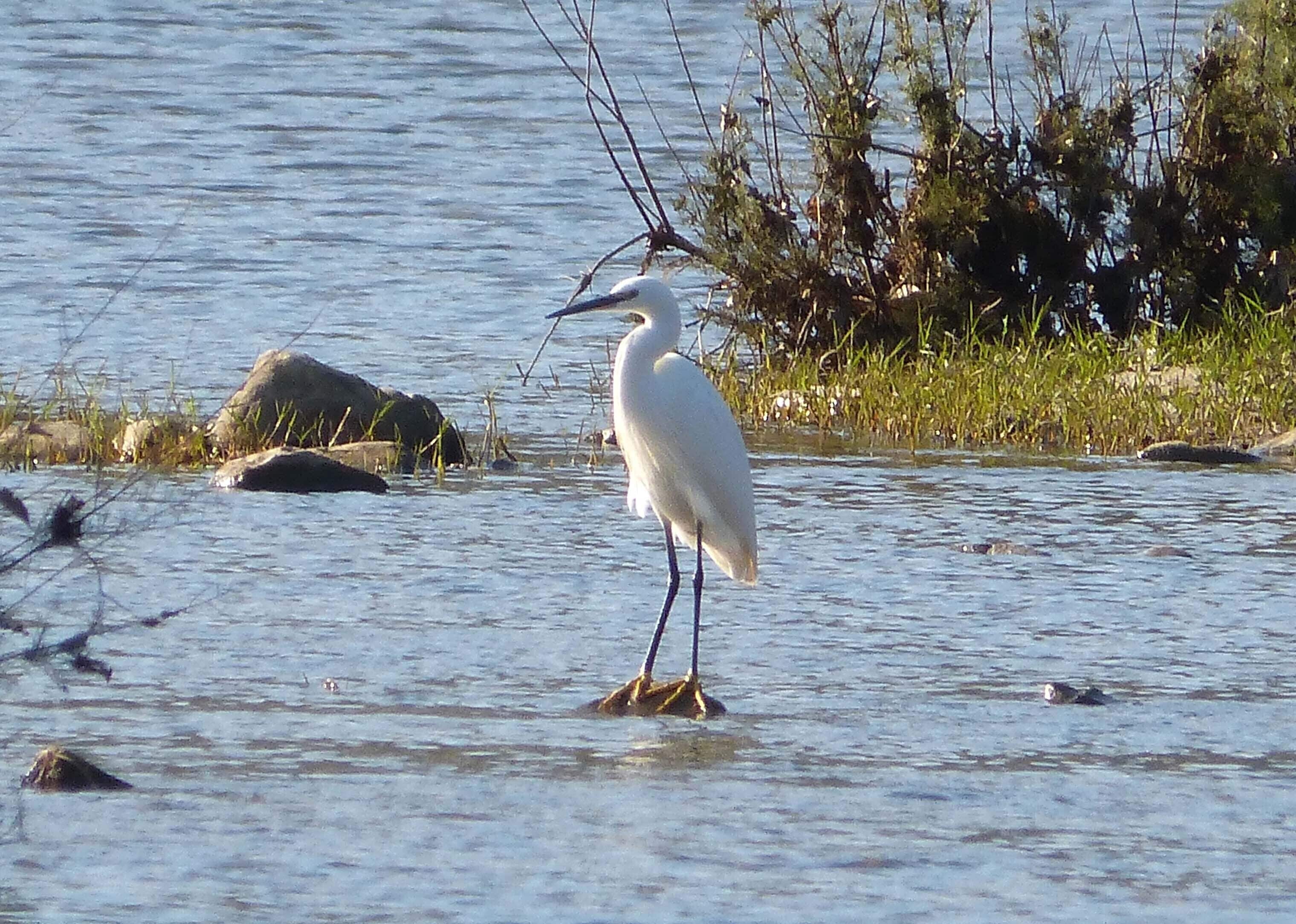 Jimena, Andalucia, Spain