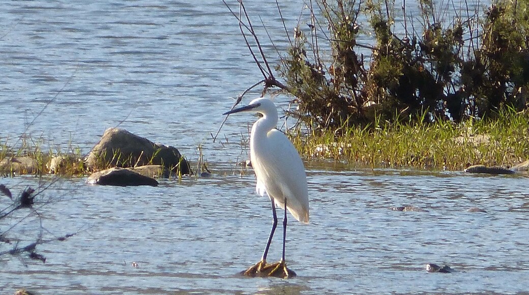 Jimena, Andalucia, Spain