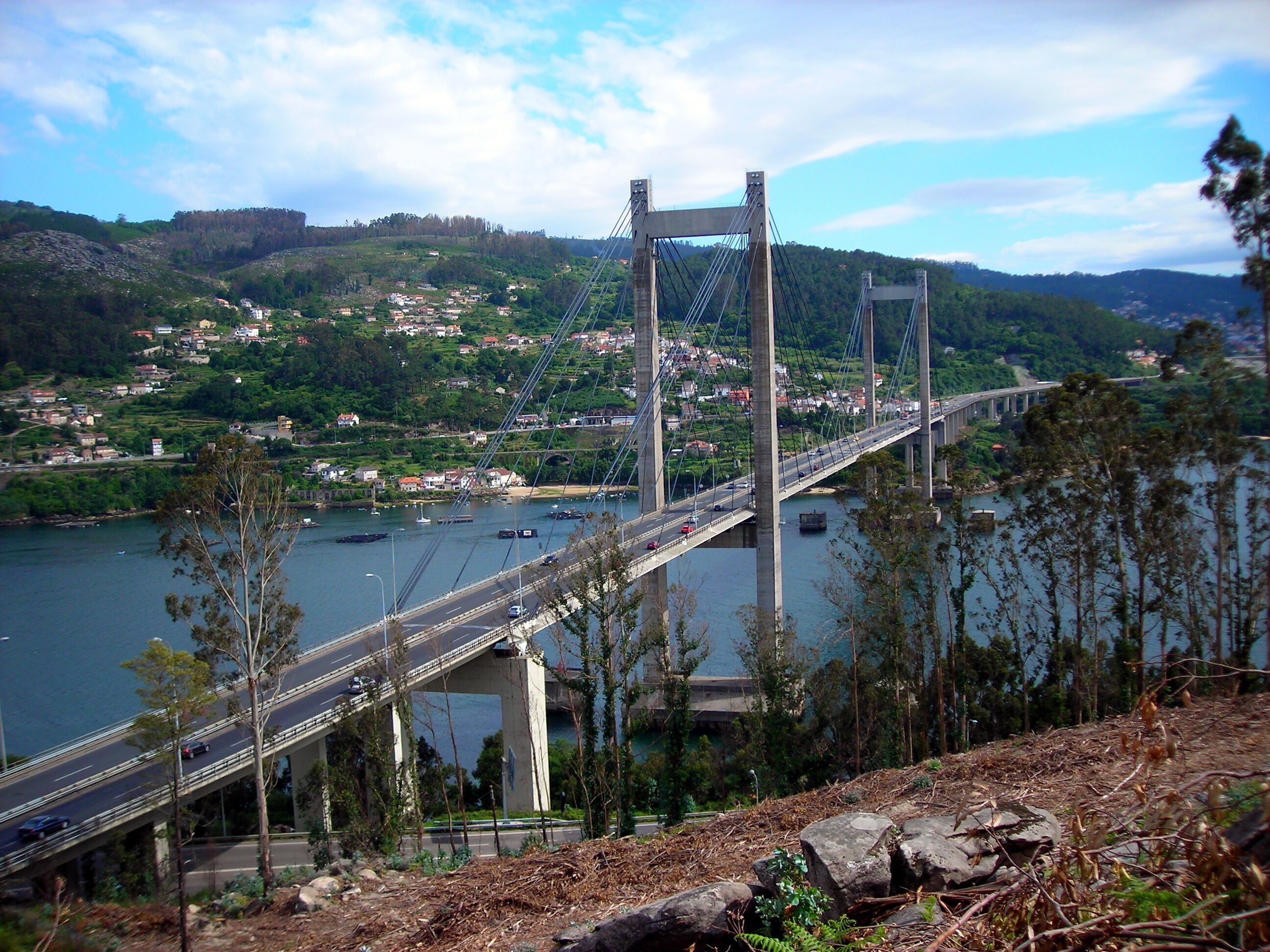 A cable-stayed bridge spanning a river with a town in the background.