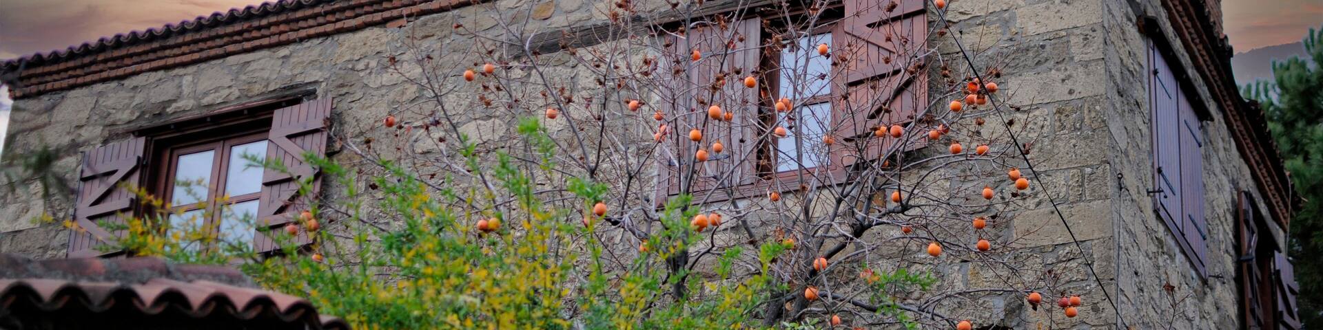 aegean, background, balikesir, bay, beach, beautiful, blue, coast, coastal, day, destination, edremit, holiday, island, landscape, nature, outdoor, people, relax, sand, scenic, sea, sea lighthouse, se