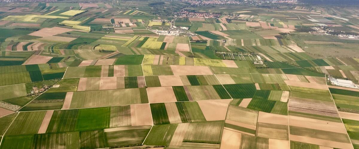 An aerial view of a patchwork of fields with varying shades of green and brown, indicating different crops or stages of growth.