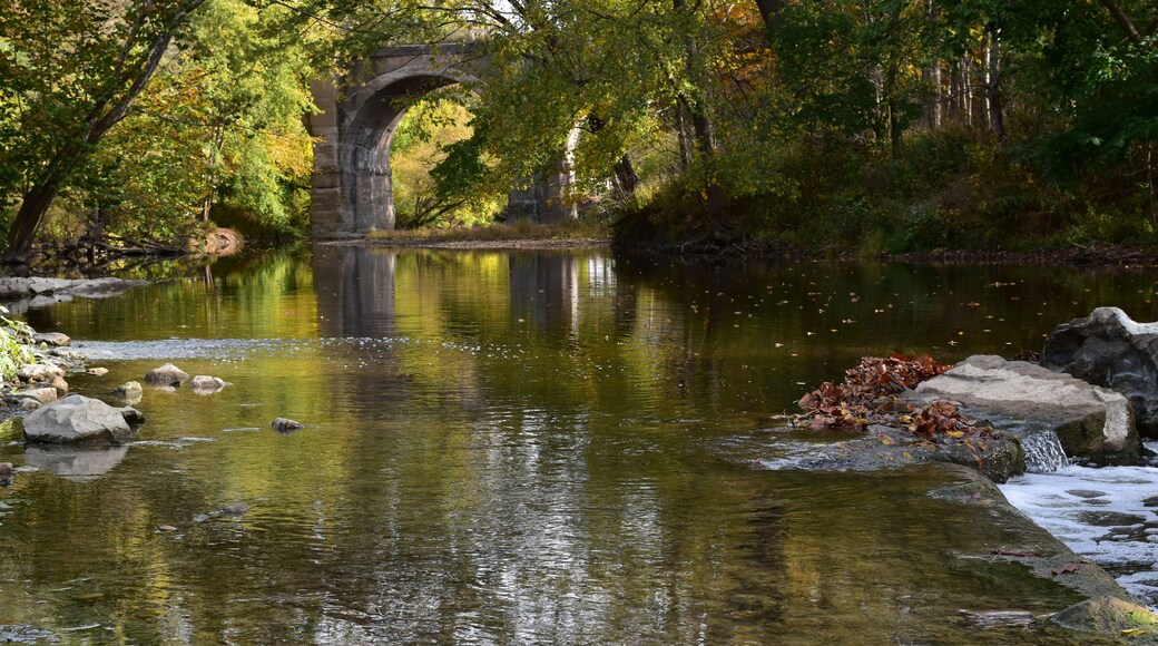 Eagle creek runs through a park in Indiana with an old, usused, arched bridge visible in the background