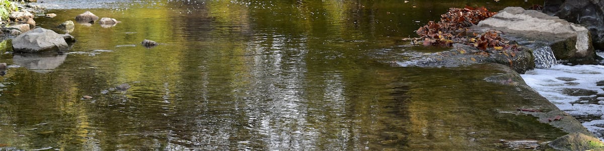 Eagle creek runs through a park in Indiana with an old, usused, arched bridge visible in the background