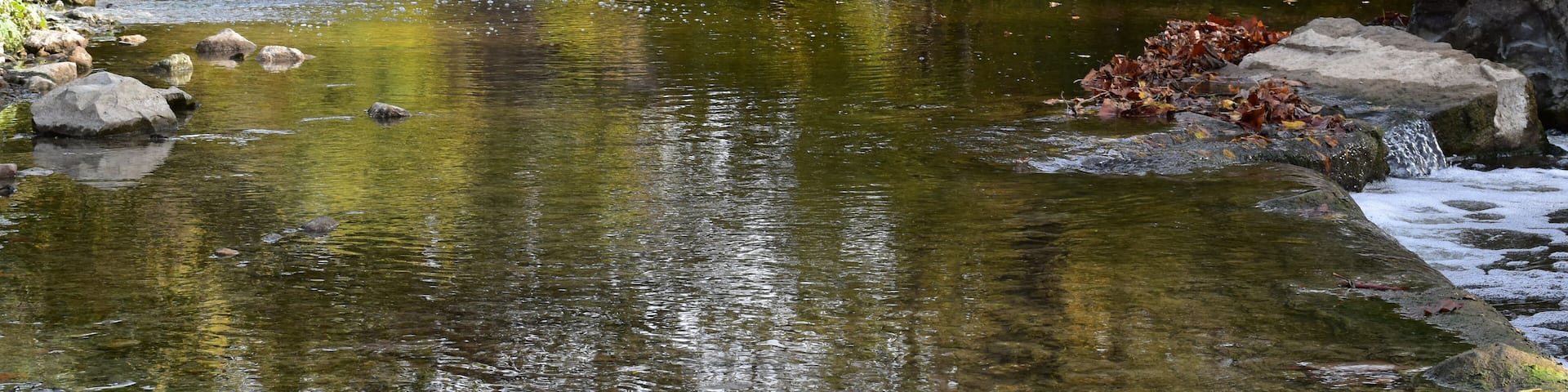 Eagle creek runs through a park in Indiana with an old, usused, arched bridge visible in the background