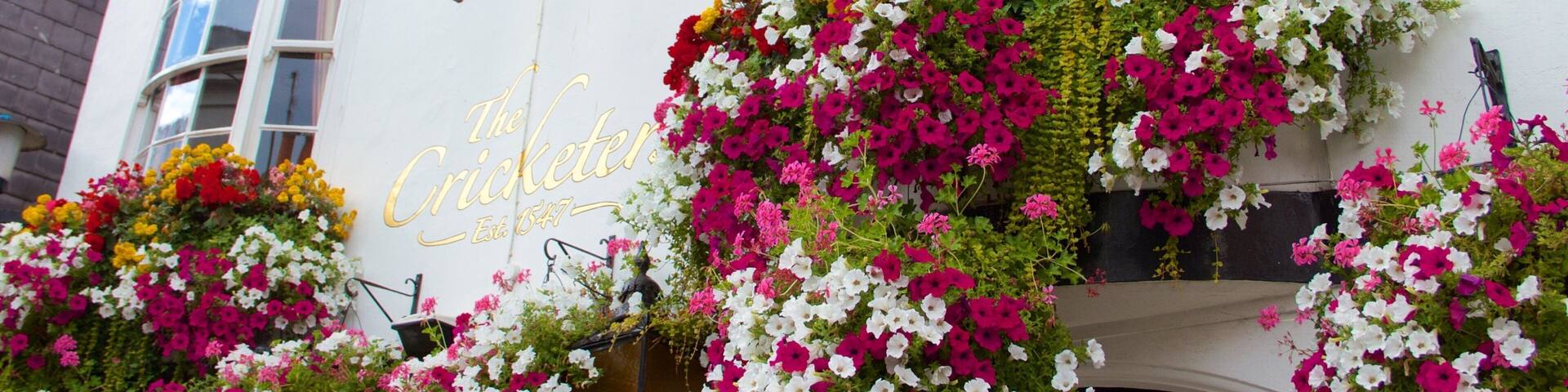 ザ レーンズ フィーチャー 標識 と 花