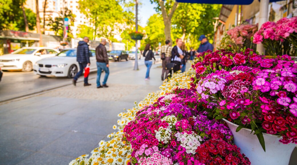 Bagdat Avenue (Turkish: Bagdat Caddesi) is a notable high street located on the Anatolian side, Istanbul, Turkey