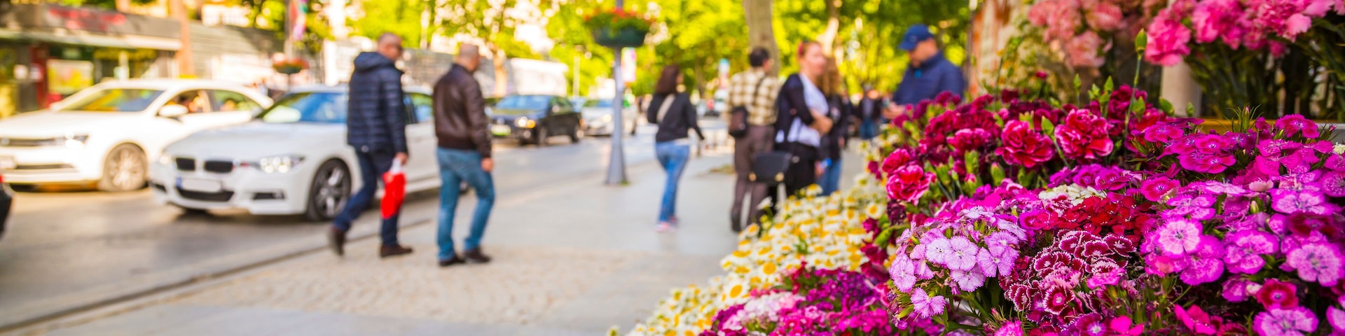 Bagdat Avenue (Turkish: Bagdat Caddesi) is a notable high street located on the Anatolian side, Istanbul, Turkey