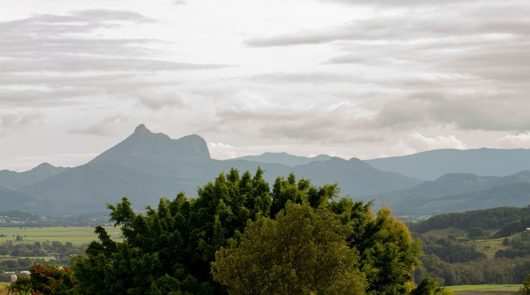 Panoramic view of Byron Bay Hinterland area during spring autumn season.