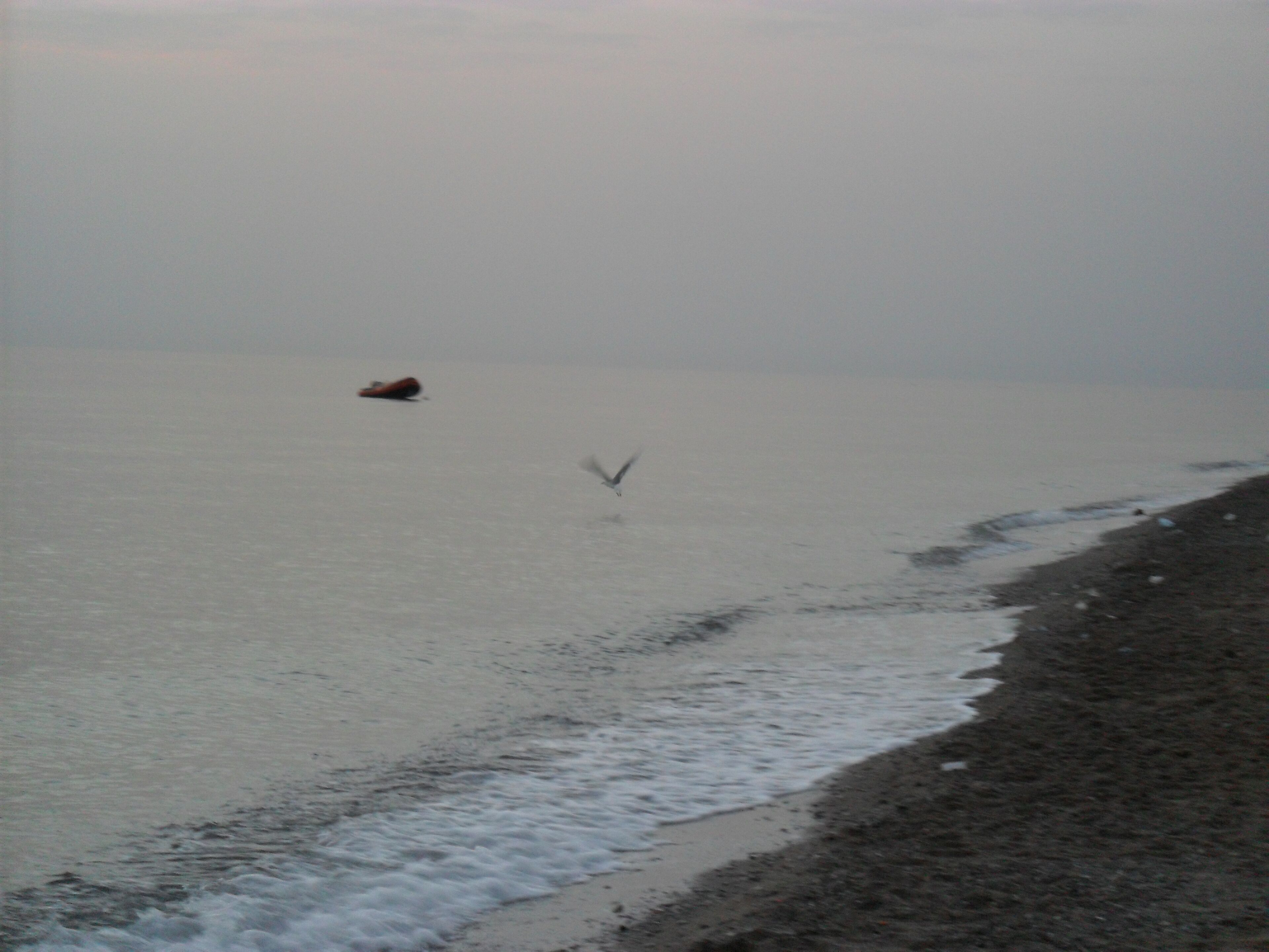 Aspettando L'alba - Notte di ferragosto (1)