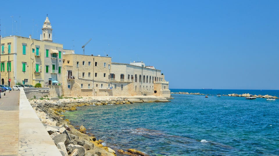 A coastal town with historic buildings, a clear blue sea, and rocky shores.