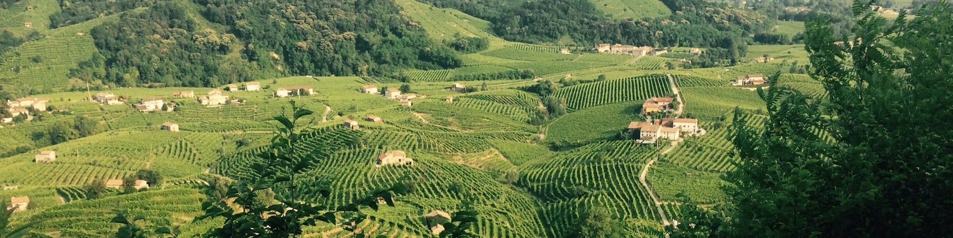 June 2017 - panorama dei vigneti delle colline di Valdobbiadene.
"L'osteria senza oste" è un posto meraviglioso dove fare tappa quando si percorre la strada del Prosecco! Un luogo incredibile!