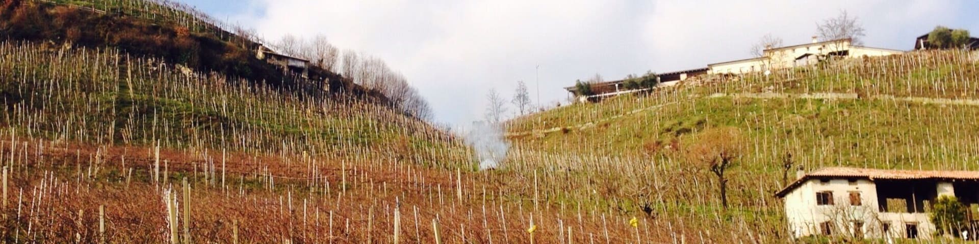 The amazing world of Prosecco!