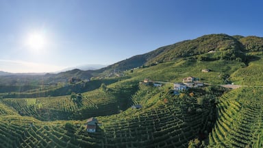 Aerial view of the hills in the Prosecco area of Valdobbiadene