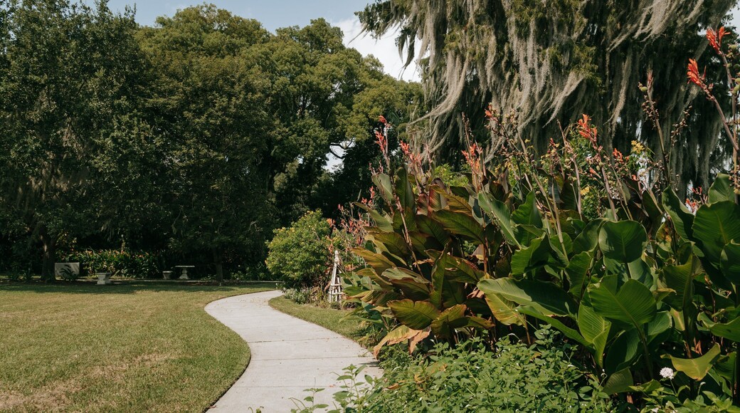 Albin Polasek Museum and Sculpture Gardens showing a garden and wildflowers