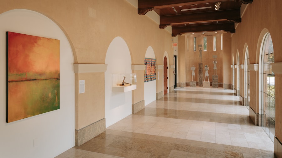 Rollins Museum of Art showing interior views and art