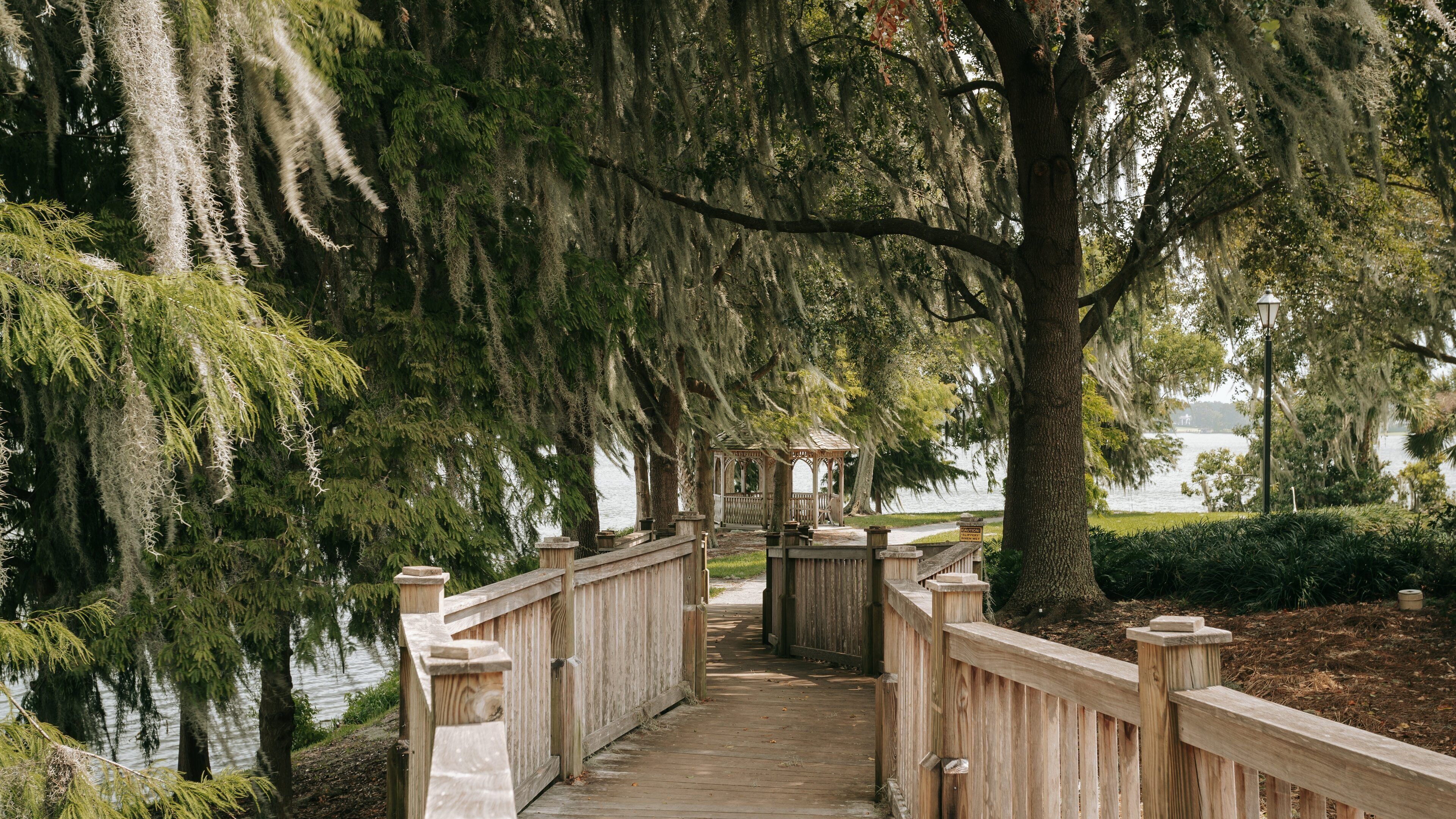 Rollins Museum of Art featuring a park