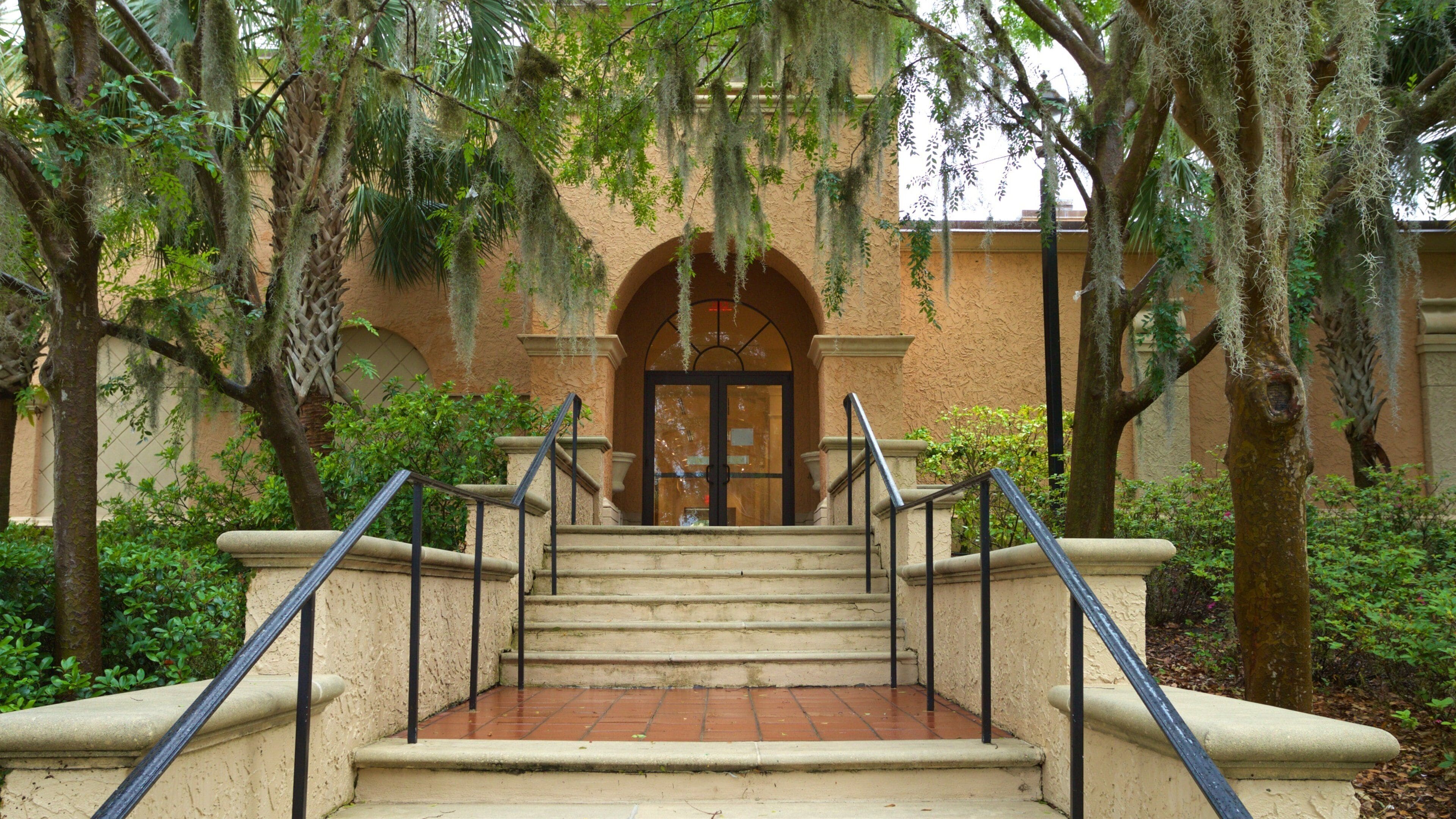 Rollins Museum of Art