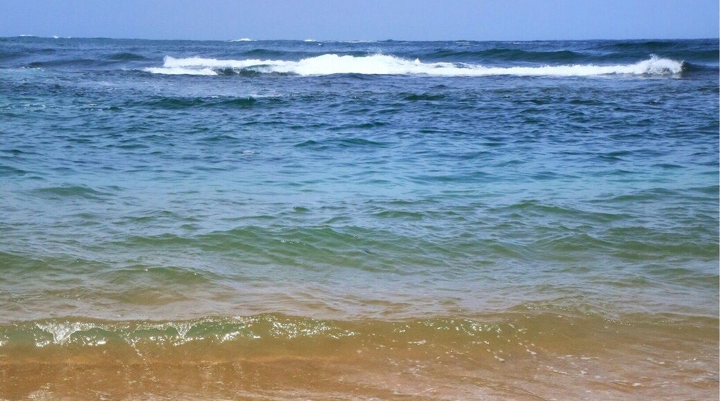 Beautiful. Really beautiful. Unawatuna Beach is a long stretch of pinkish golden sand with clear, warm, turquoise water.
#LifeAtExpedia
#Beach
#Summer
#SriLanka