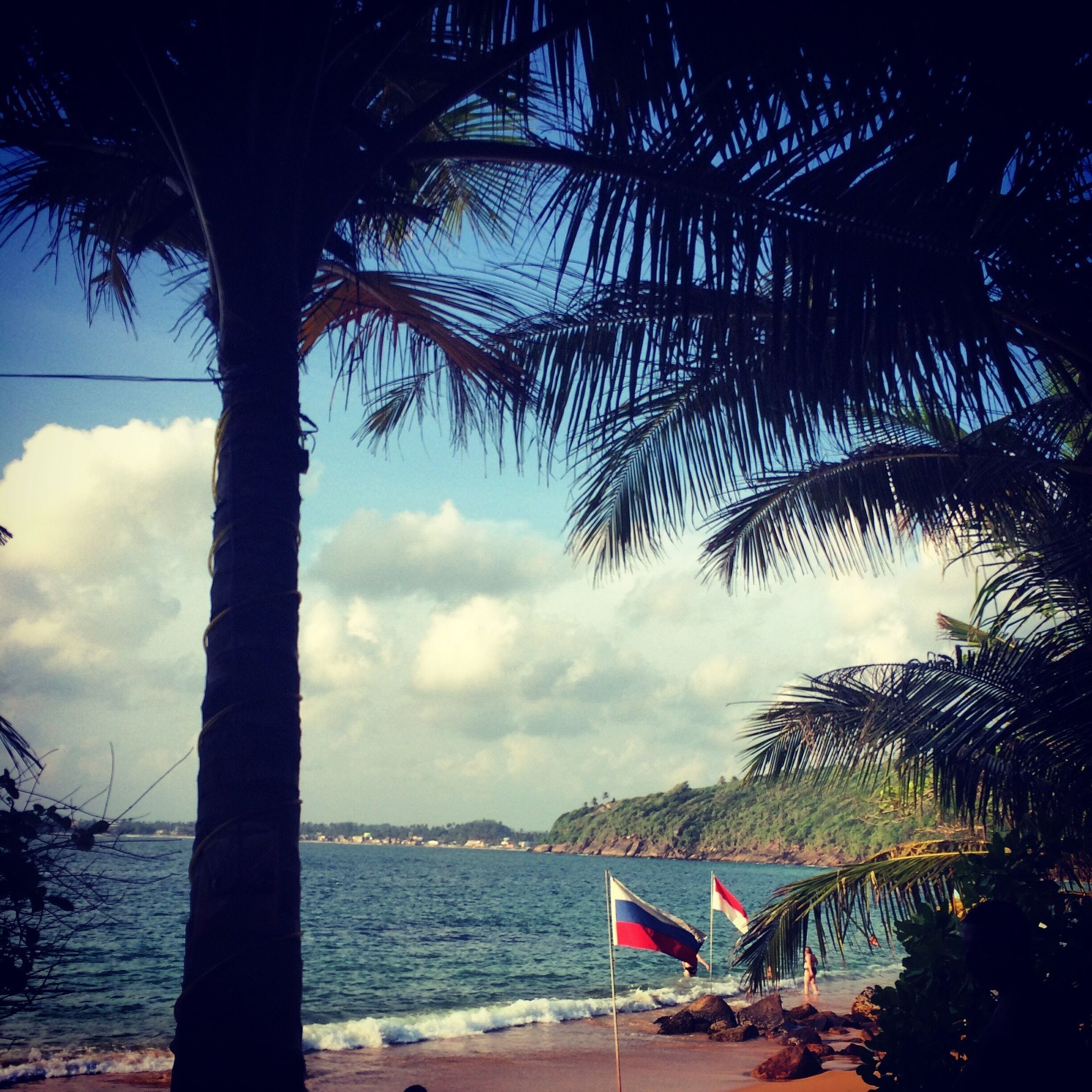 Jungle Beach was a twenty minute walk from Unawatuna. Situated in a clam bay so hardly any big waves and perfect water temperature. Gorgeous little beach with sun beds and a bar with amazing fresh juice. They also do beach parties. Lots of monkeys around from the forest, so mind your belongings. #beach