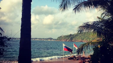 Una playa con palmeras, banderas y vista al mar.