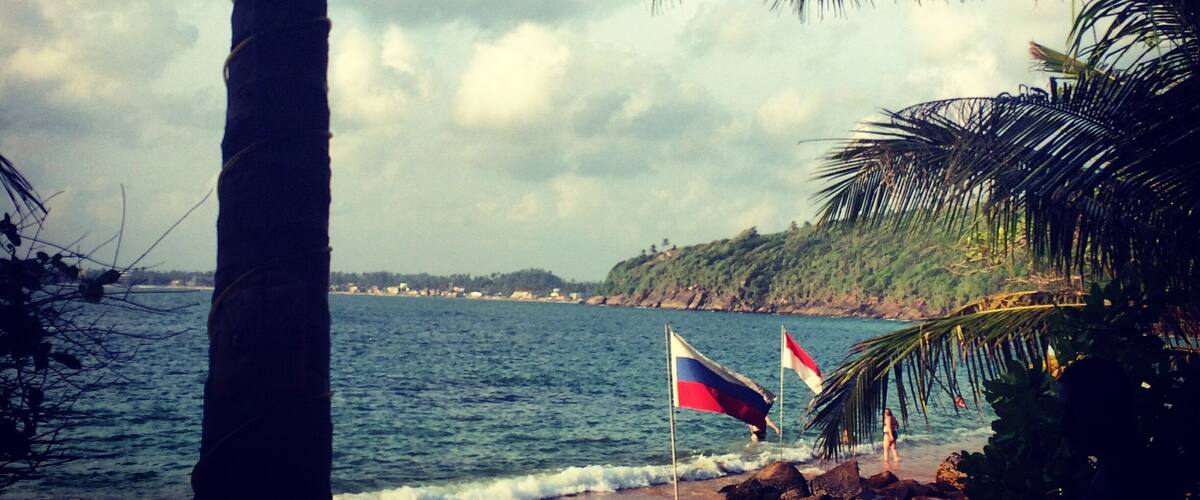A beach with palm trees, flags, and a view of the sea.