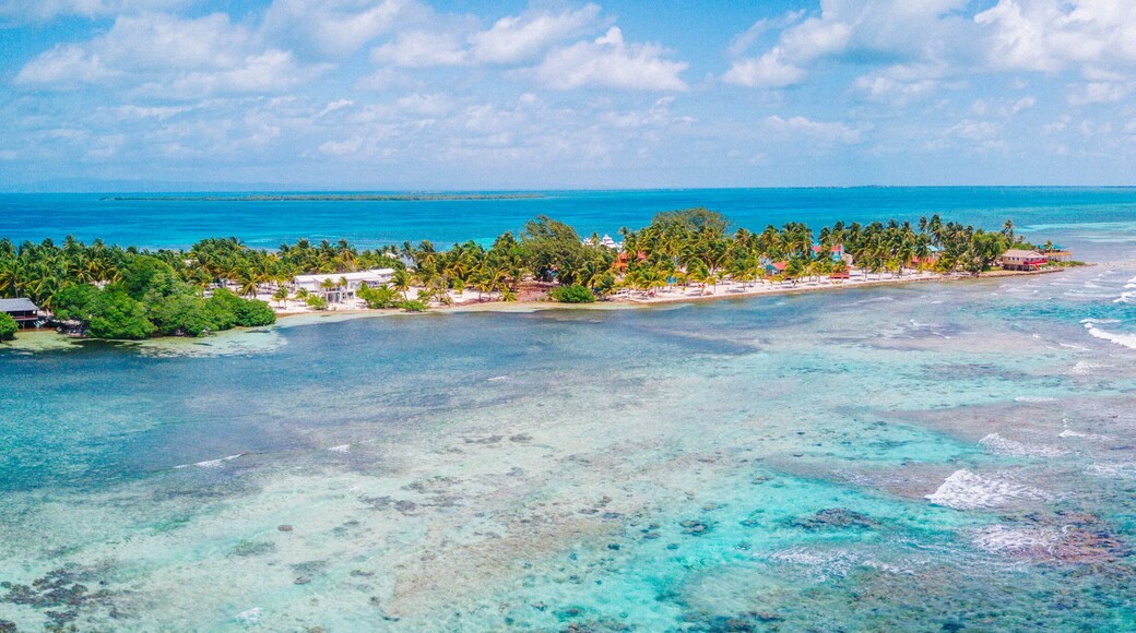 Little Frenchman Caye