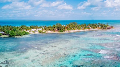 Aerial Drone view of South Water Caye tropical island in Belize barrier reef. A typical Caribbean island with turquoise water