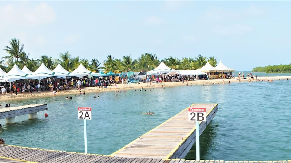 A beach with a pier, palm trees, and a water terminal.