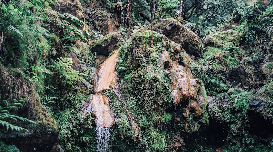 Nice warm nature shower at Caldeira Velha, one fantastic natural hotspring between palms and ferns. I think a place where many tropical waterparks get their inspiration.
#azores #hotsprings #places #sao_miguel #waterfall #hot #springs #nature
Make sure you follow me on:
https://www.facebook.com/ShotByCanipel/
https://www.instagram.com/canipel/