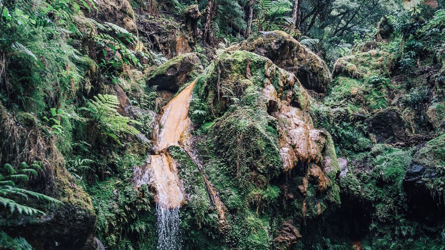 Nice warm nature shower at Caldeira Velha, one fantastic natural hotspring between palms and ferns. I think a place where many tropical waterparks get their inspiration.
#azores #hotsprings #places #sao_miguel #waterfall #hot #springs #nature
Make sure you follow me on:
https://www.facebook.com/ShotByCanipel/
https://www.instagram.com/canipel/