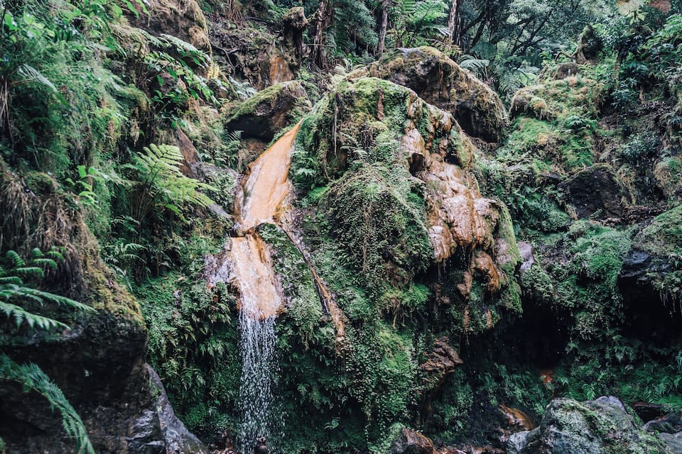 A waterfall in a lush forest with dense greenery and a person in a red swimsuit at the base.
