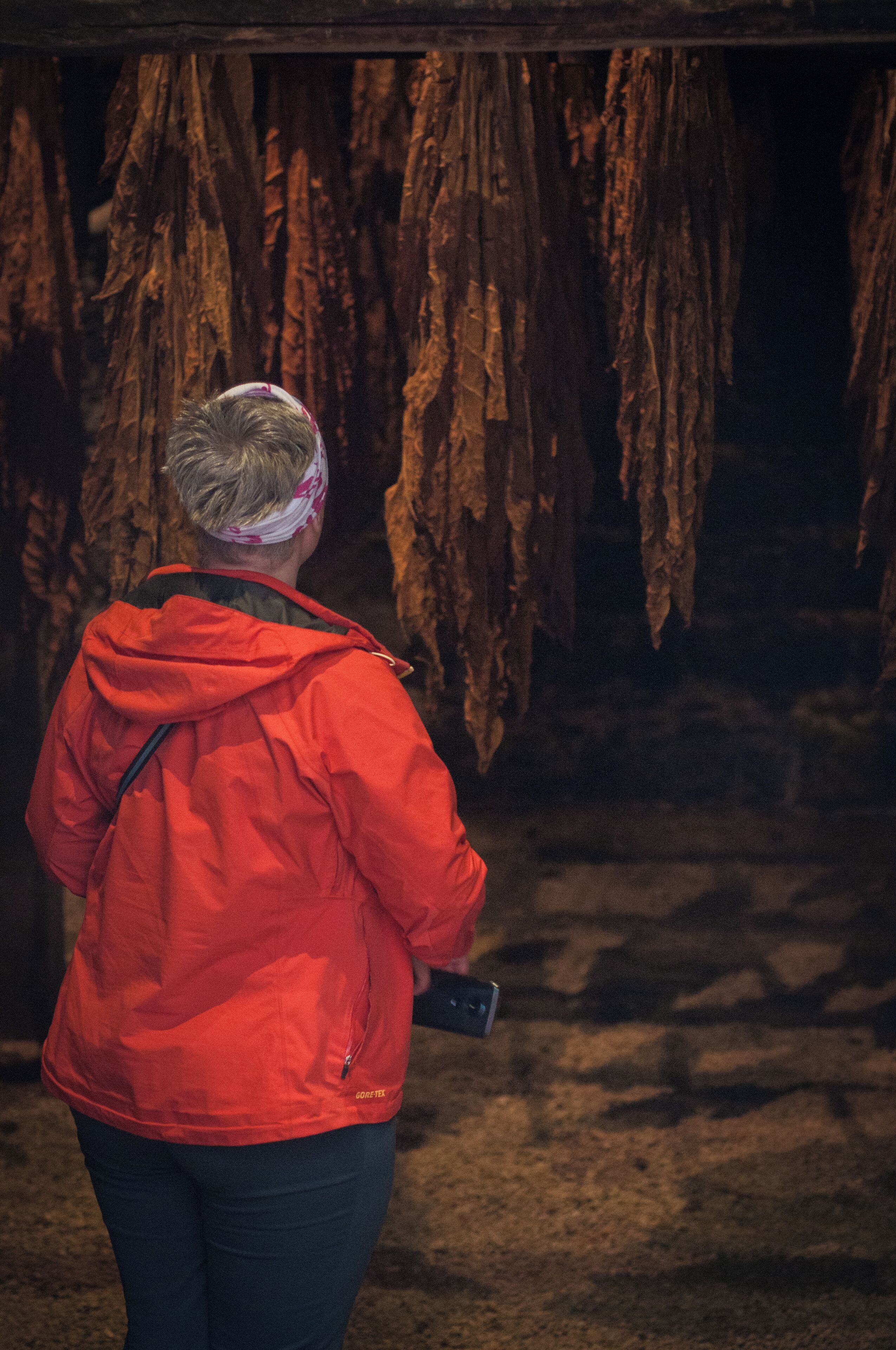 'The visit to the Tobacco Museum in Maia felt like quality time spent with family. ... We were shown the garden of the museum, we were explained the way in which islanders would smoke and prepare cigars back in the day, as well as the entire process of manufacturing cigarettes using the methods current for that period.'
Here, the drying process of tobacco leaves.