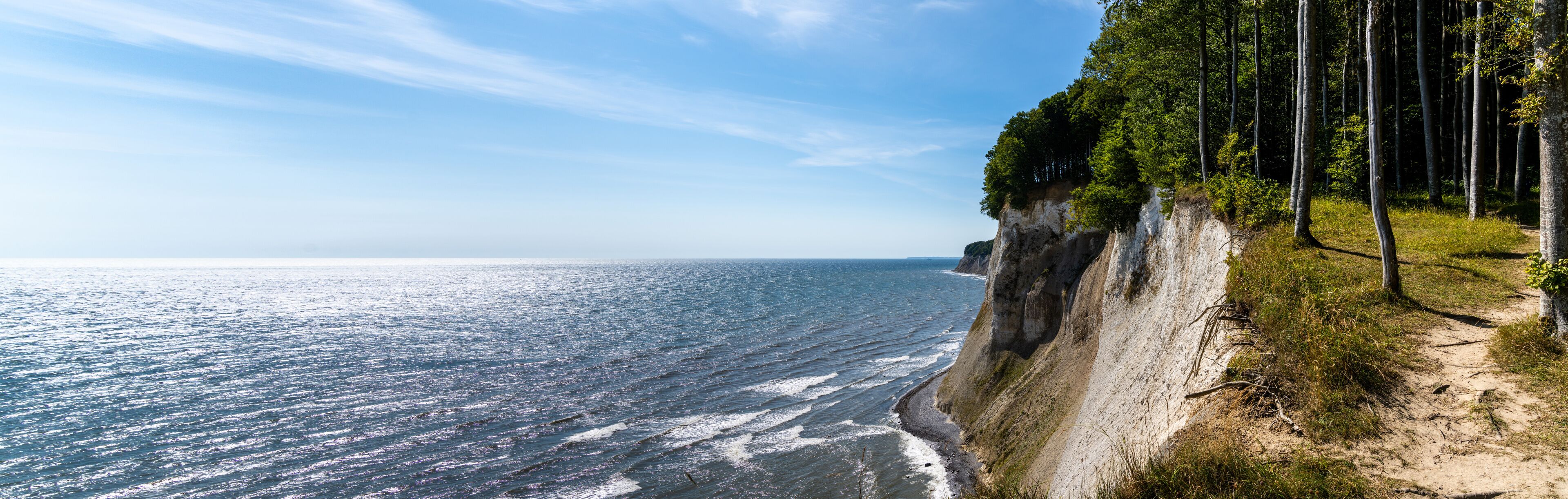 A coastal cliff with a forested area and a view of the ocean.
