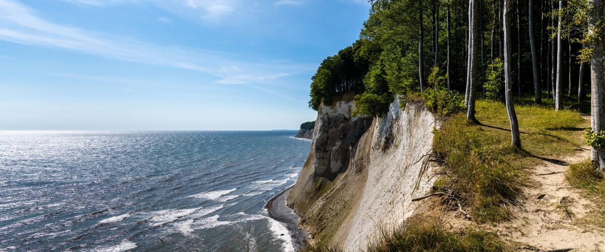 A coastal cliff with a forested area and a view of the ocean.