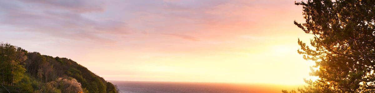 A coastal landscape with a sunset, a pier, and a hill with dense vegetation.