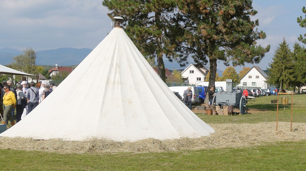 Personality rights Personality rights warningAlthough this work is freely licensed or in the public domain, the person(s) shown may have rights that legally restrict certain re-uses unless those depicted consent to such uses. In these cases, a model release or other evidence of consent could protect you from infringement claims. Though not obliged to do so, the uploader may be able to help you to obtain such evidence. See our general disclaimer for more information.