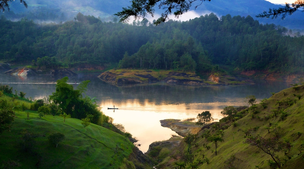 Monolithe Peñón de Guatapé qui includes scènes forestières, scènes tranquilles et rivière ou ruisseau