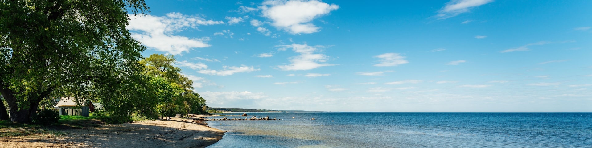 A clear beach with shallow water, rocks, and trees.