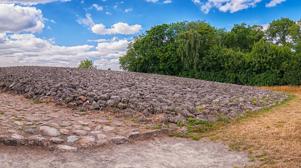Kiviksgraven