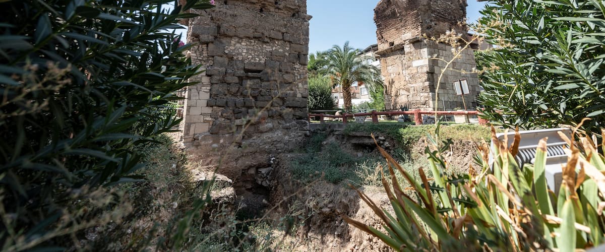 Ancient stone ruins with overgrown vegetation, including palm trees and olive branches.